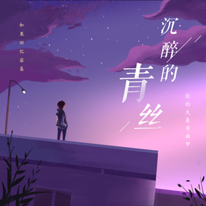 沉醉的青丝 (DJ版)